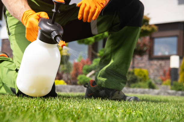 Best Bed Bug Extermination  in Marlboro, NY