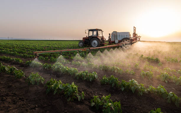Pest Control Cost in Marlboro, NY