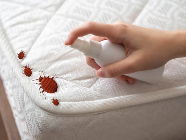 Best Local Pest Control Services  in Marlboro, NY