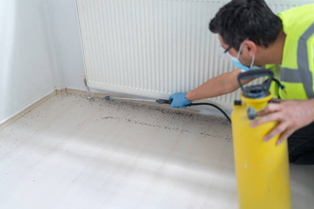Best Residential Pest Control  in Marlboro, NY
