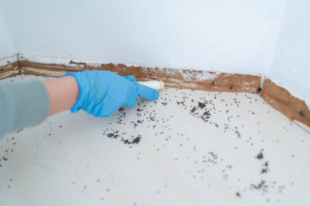 Best Affordable Pest Control Services  in Marlboro, NY