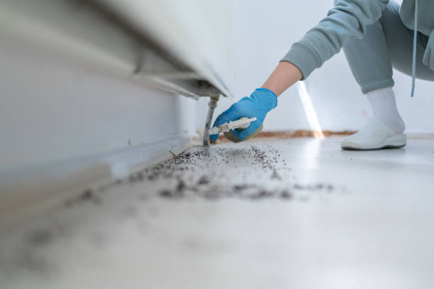 Best Affordable Pest Control Services  in Marlboro, NY
