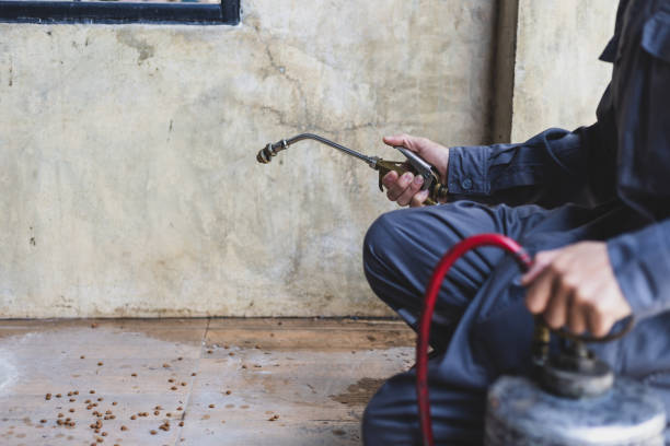 Best Best Pest Control Companies  in Marlboro, NY